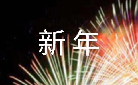 关于新年工作计划和目标(精选14篇)